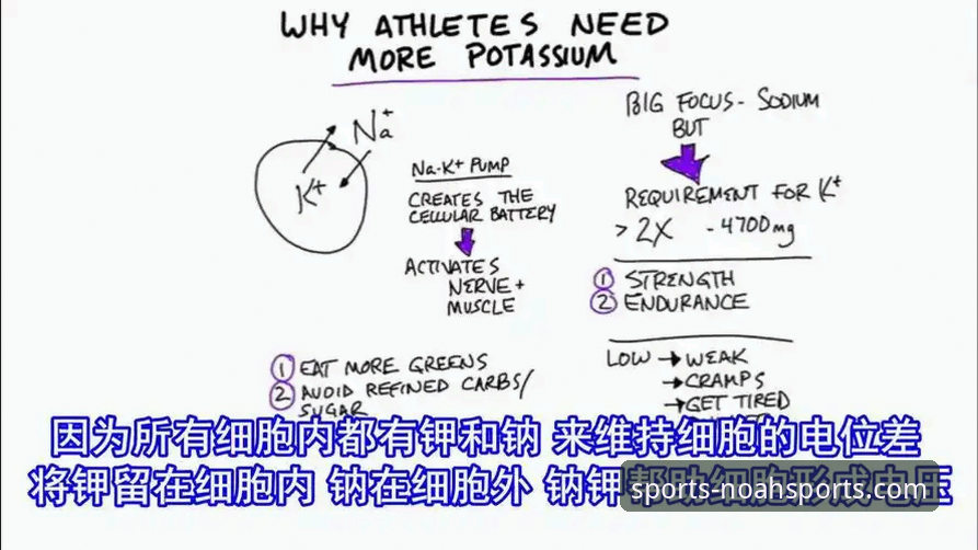 诺亚体育平台安全性对比分析完整指南